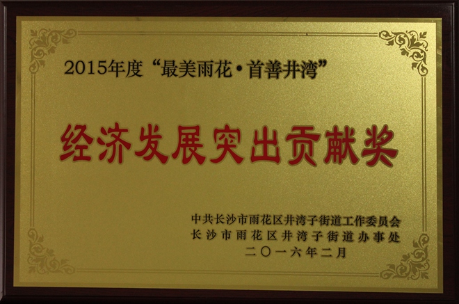 2015經濟發展突出貢獻獎